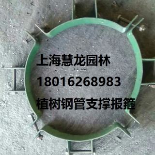 大樹報(bào)箍，植樹支撐報(bào)箍，鋼支撐報(bào)箍